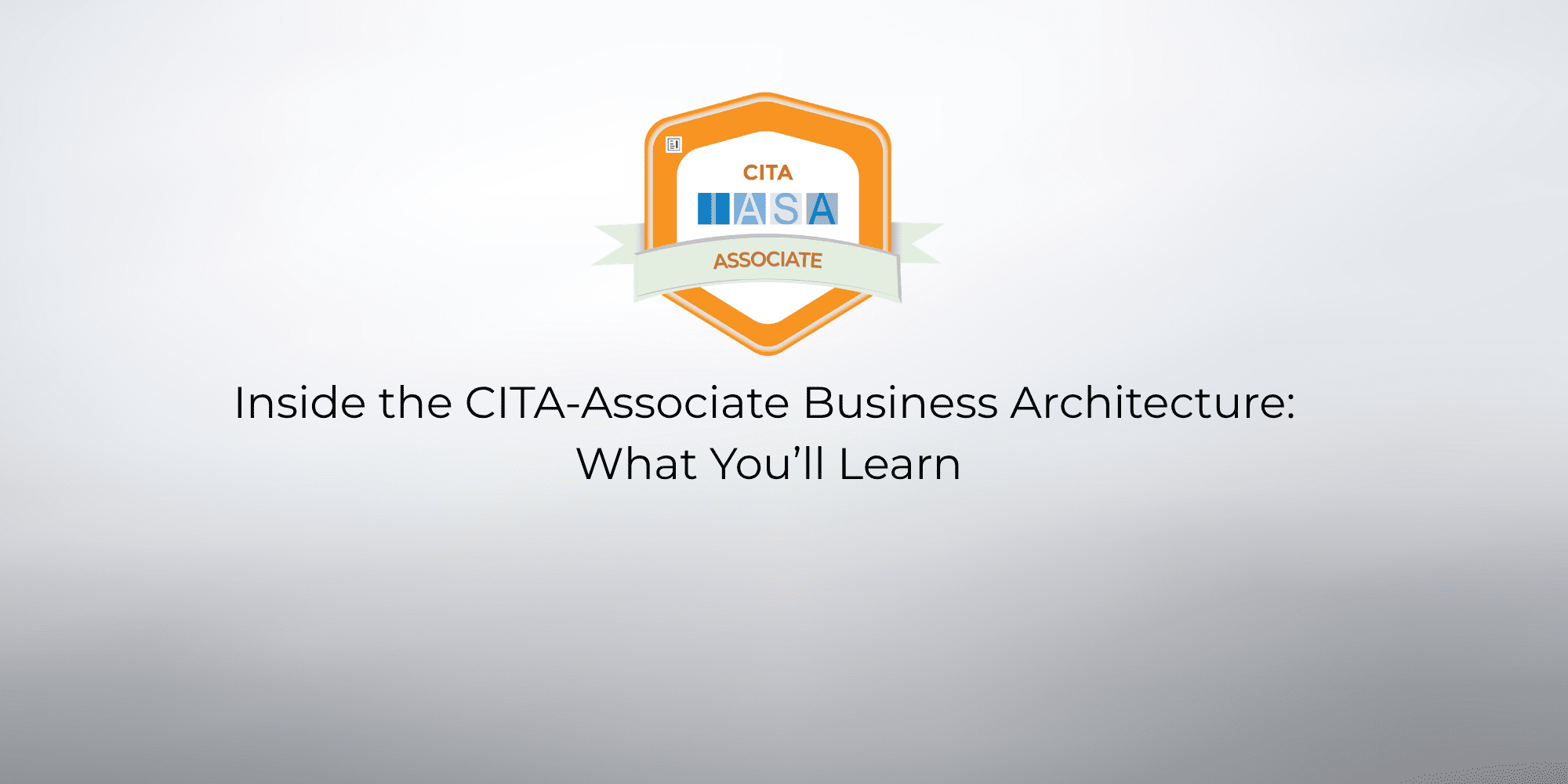 CITA-Associate Business Architecture